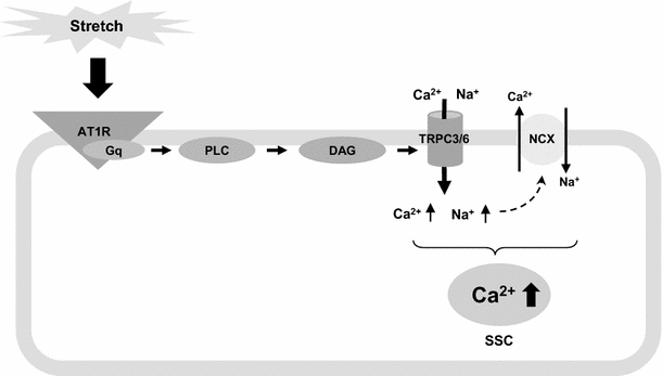 Fig. 8