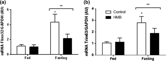 Fig. 4