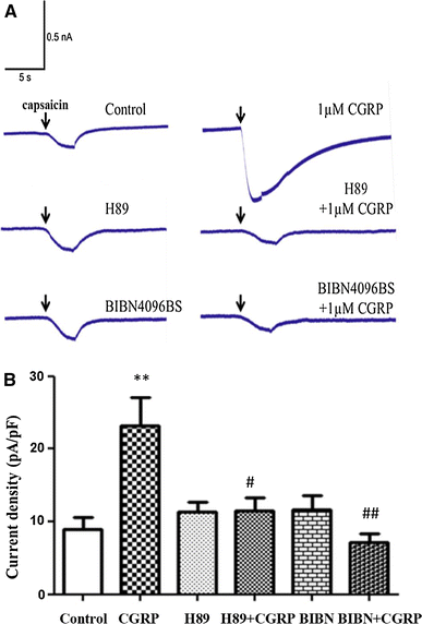 Fig. 4