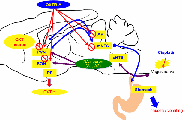 Fig. 5