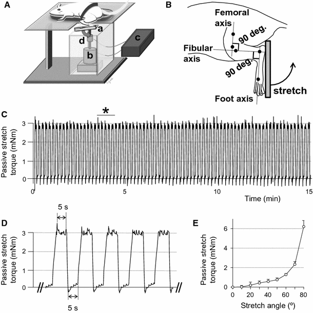 Fig. 1