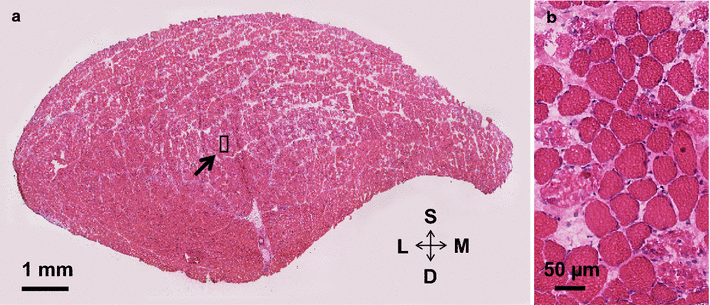 Fig. 2