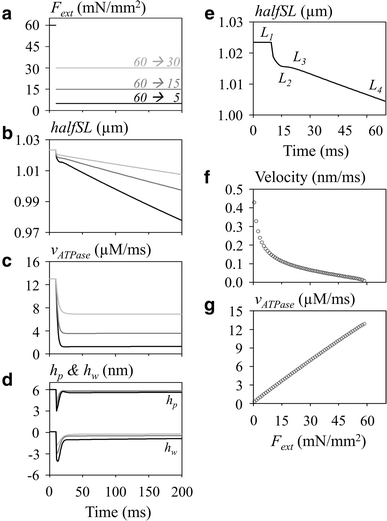 Fig. 6