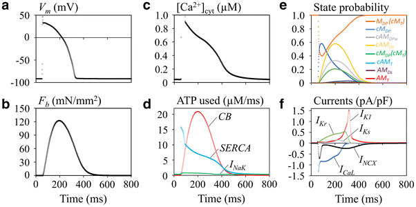 Fig. 7