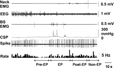 Fig. 6