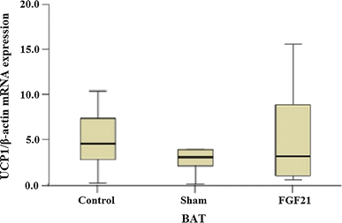 Fig. 5