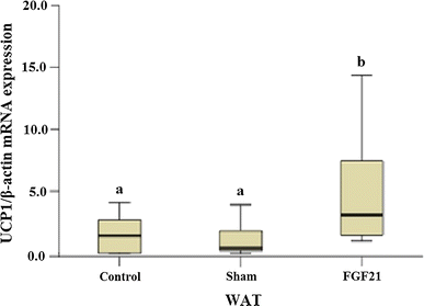 Fig. 6