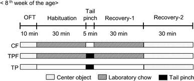 Fig. 1