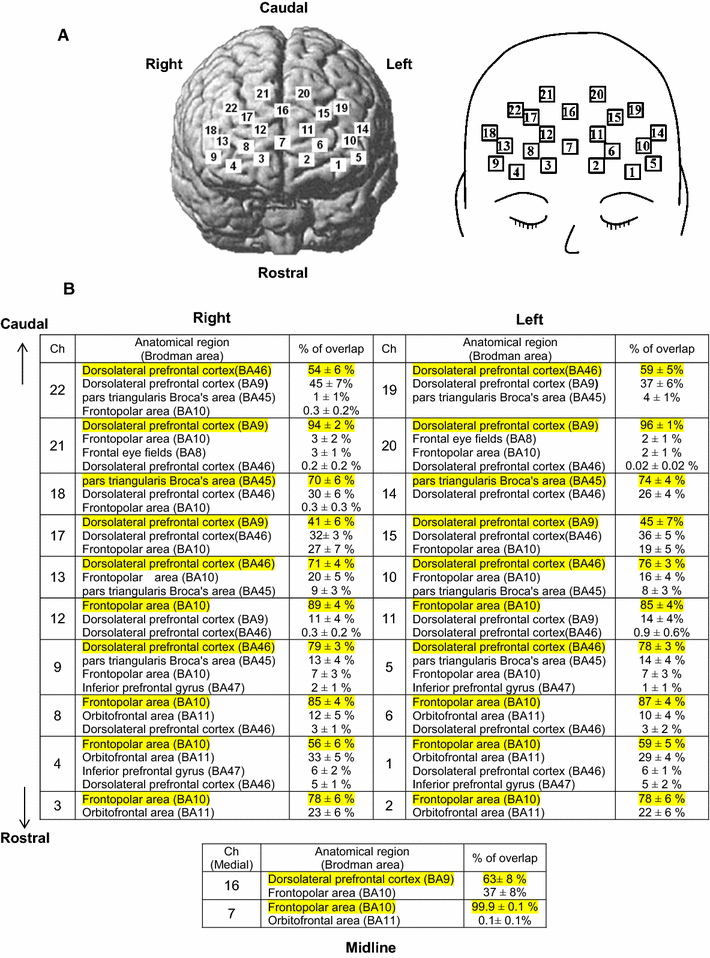 Fig. 1