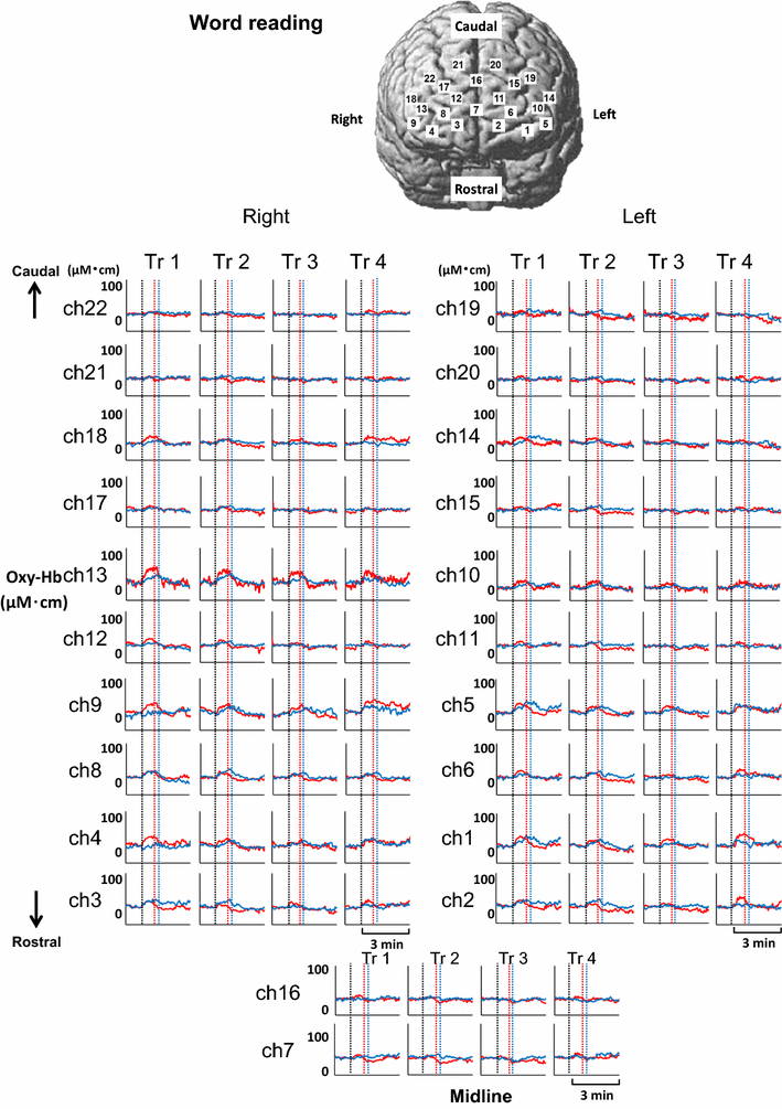 Fig. 5