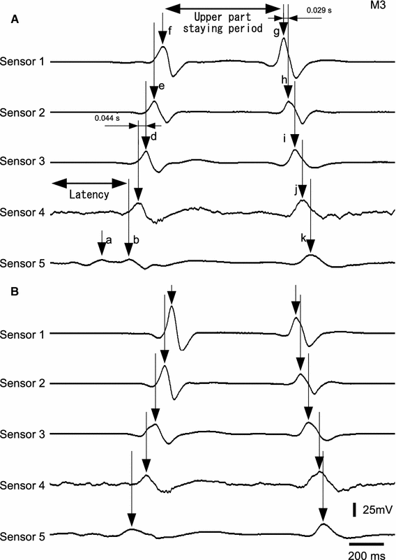 Fig. 3