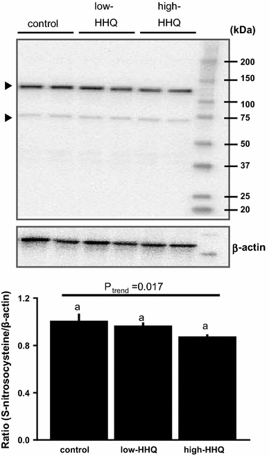 Fig. 5