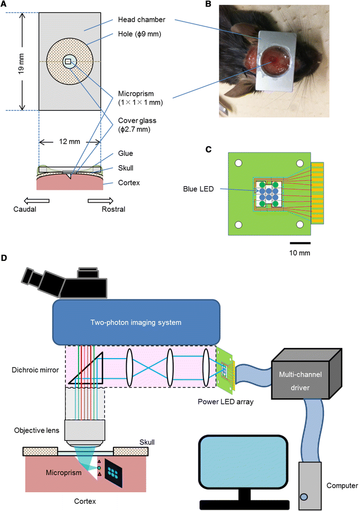 Fig. 1