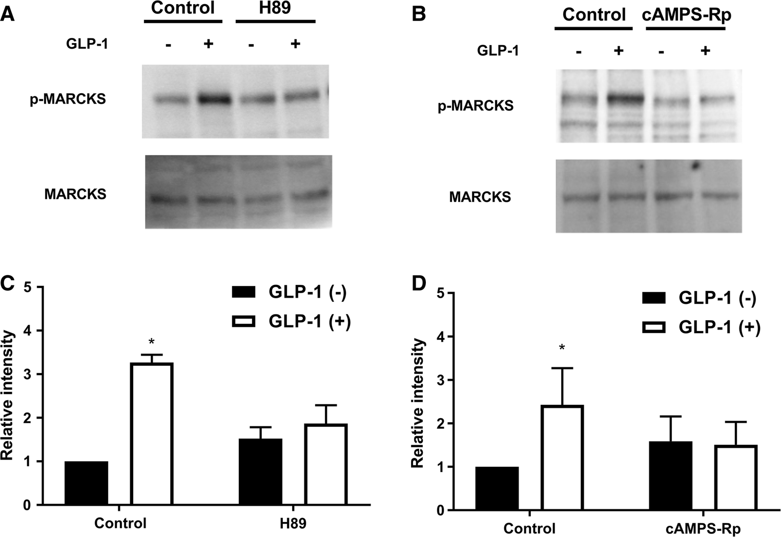 Fig. 3