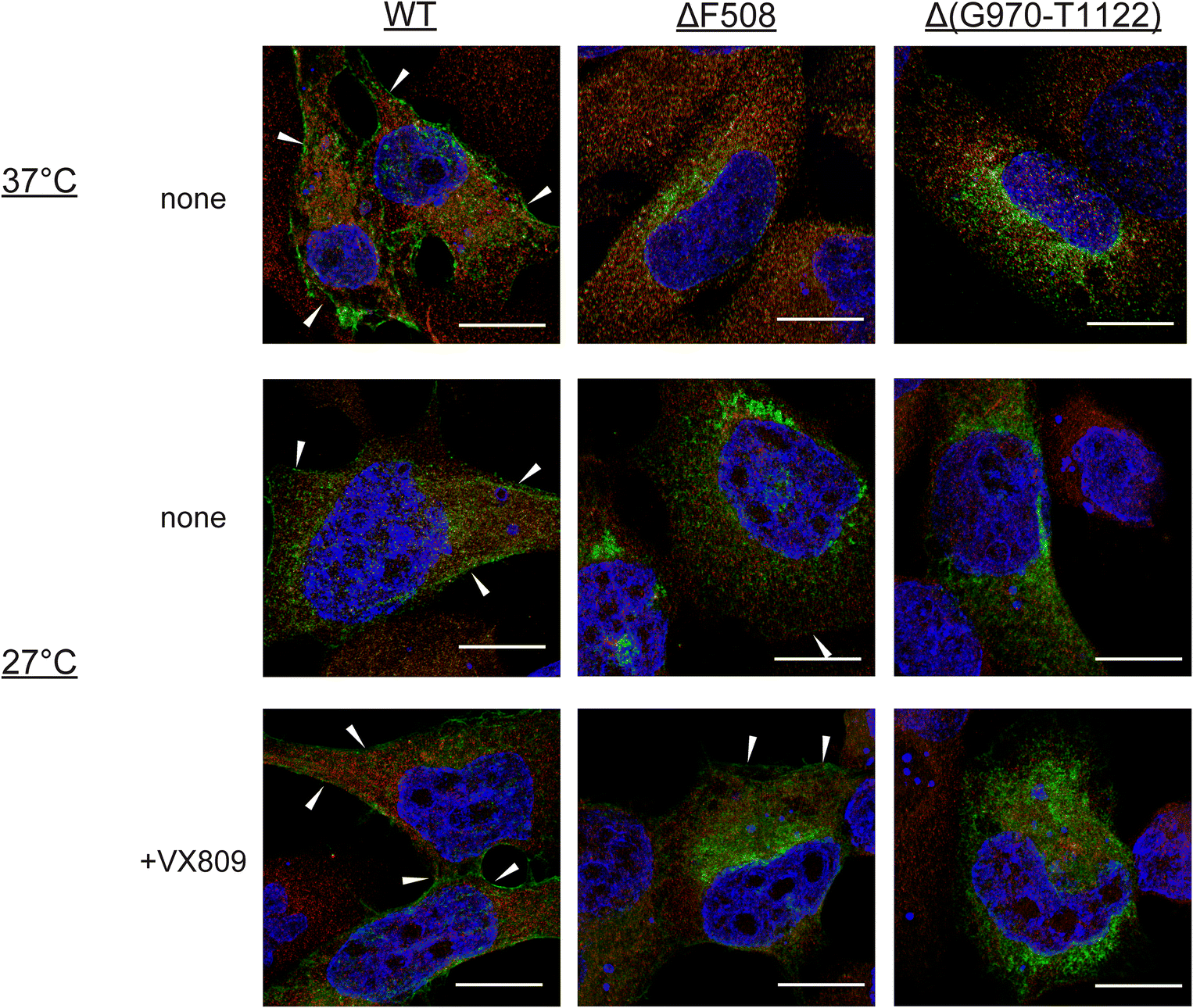 Fig. 3