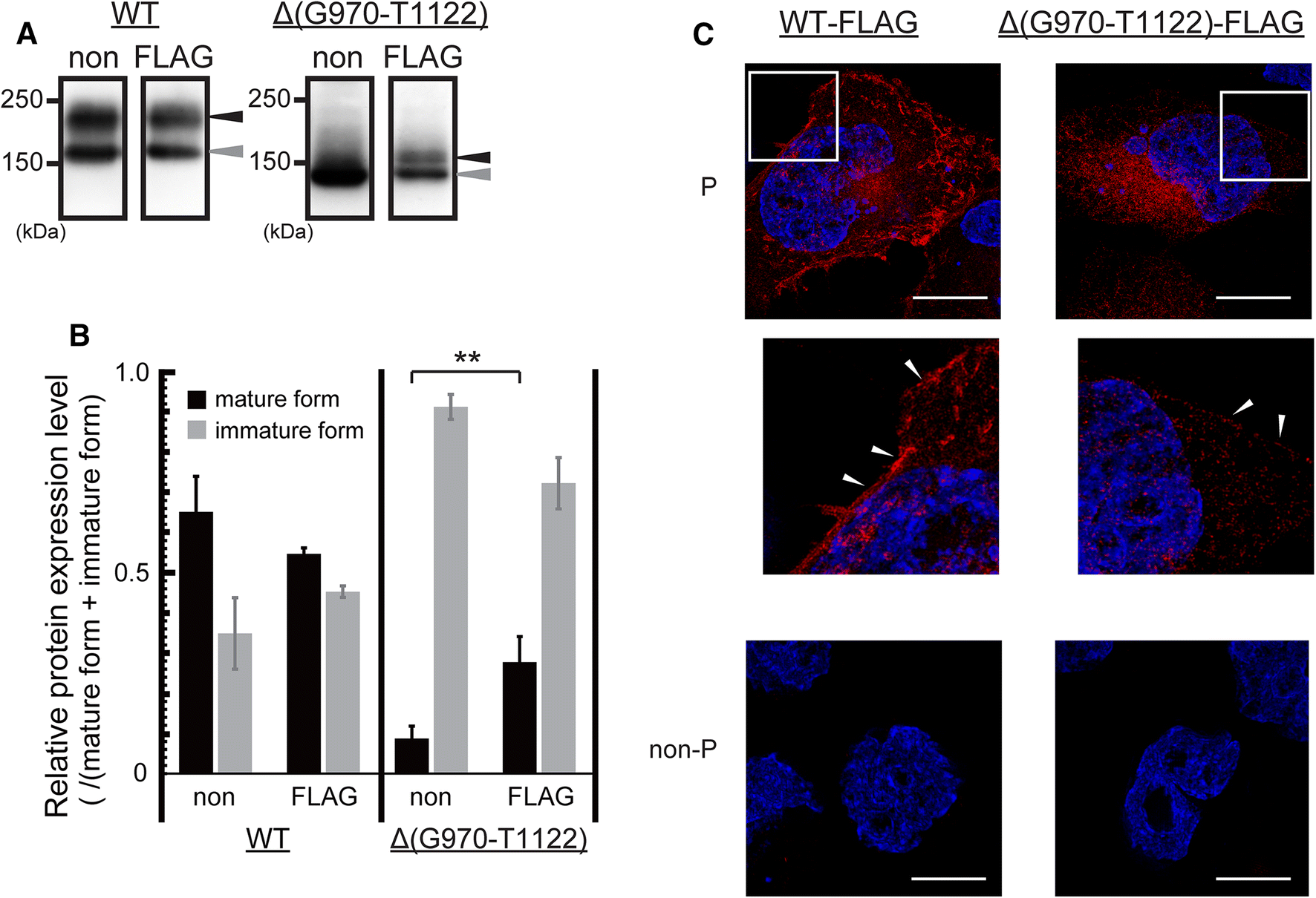 Fig. 4