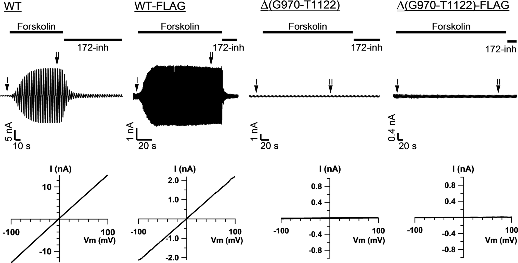 Fig. 5