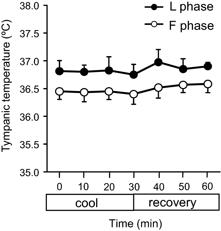 Fig. 6