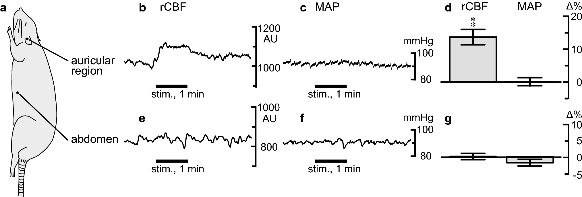 Fig. 4