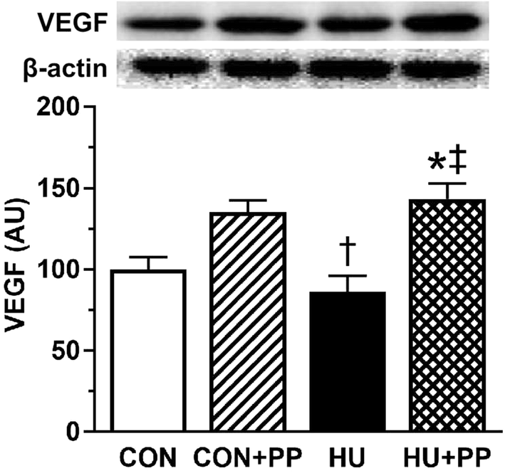 Fig. 6