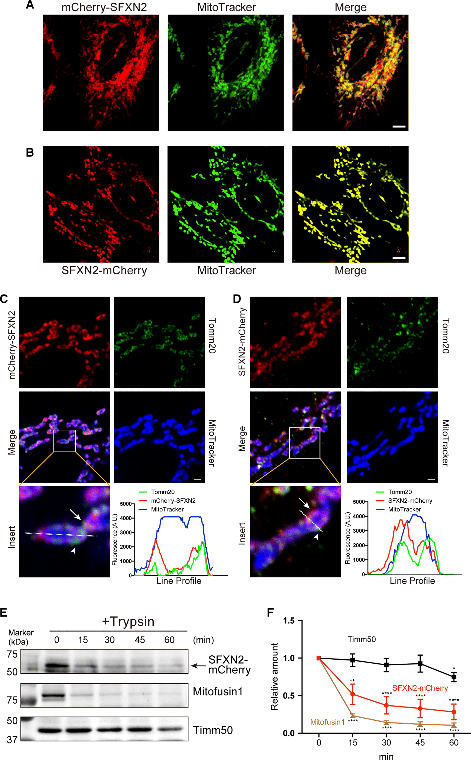 Fig. 2