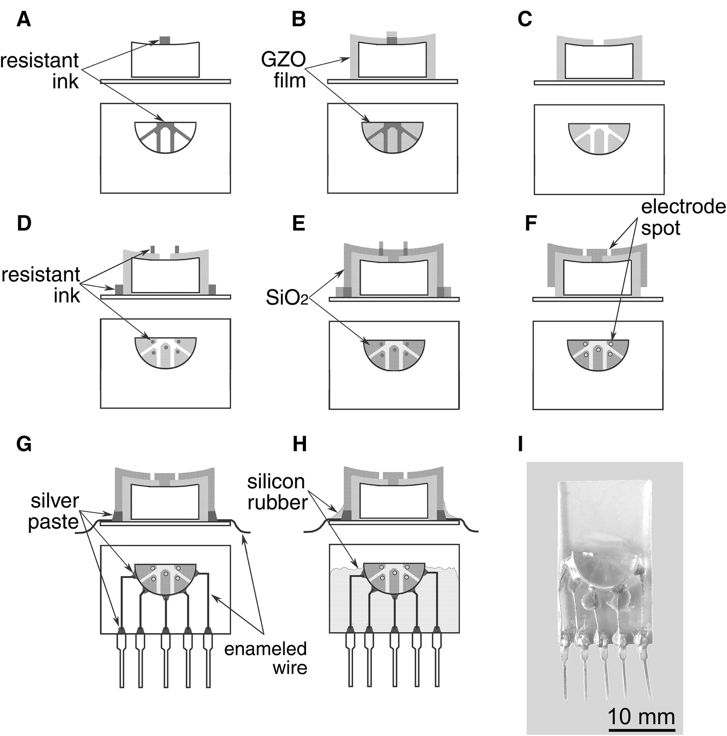 Fig. 1