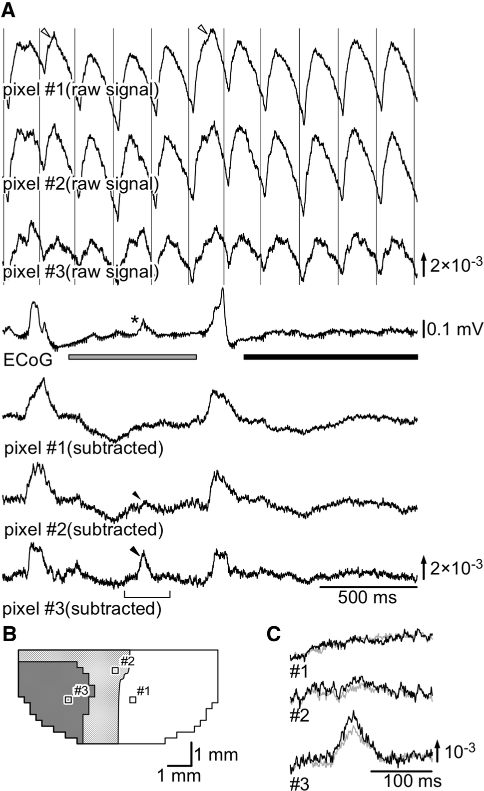 Fig. 3