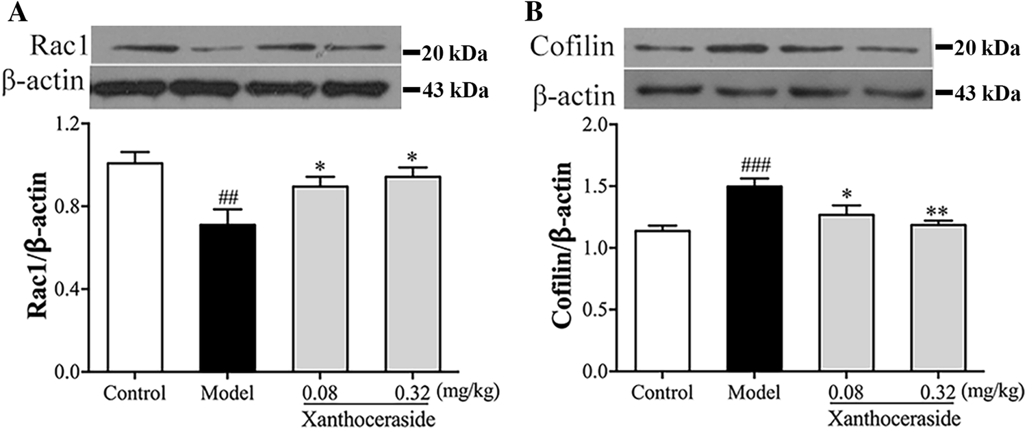 Fig. 6