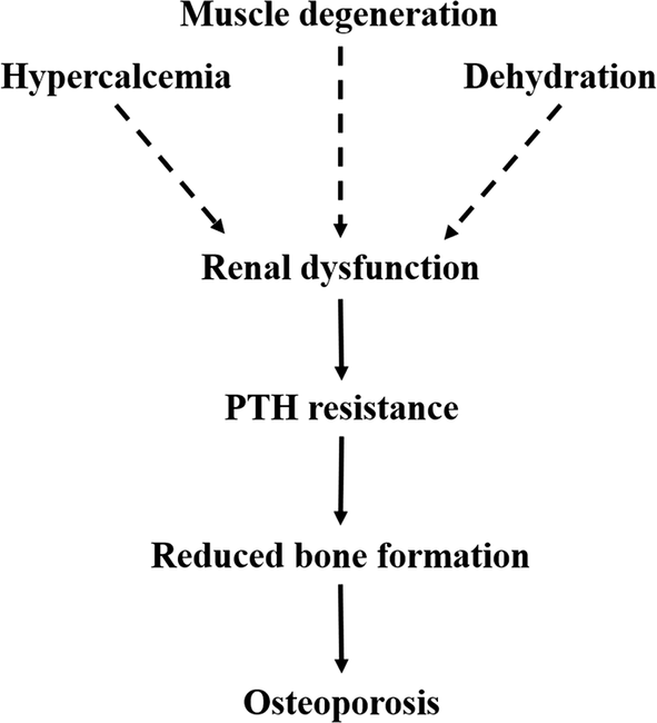 Fig. 5