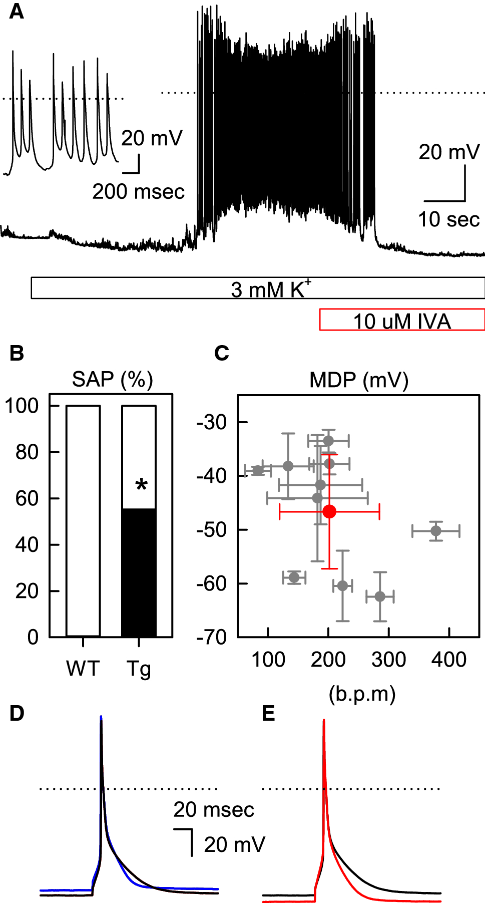 Fig. 2