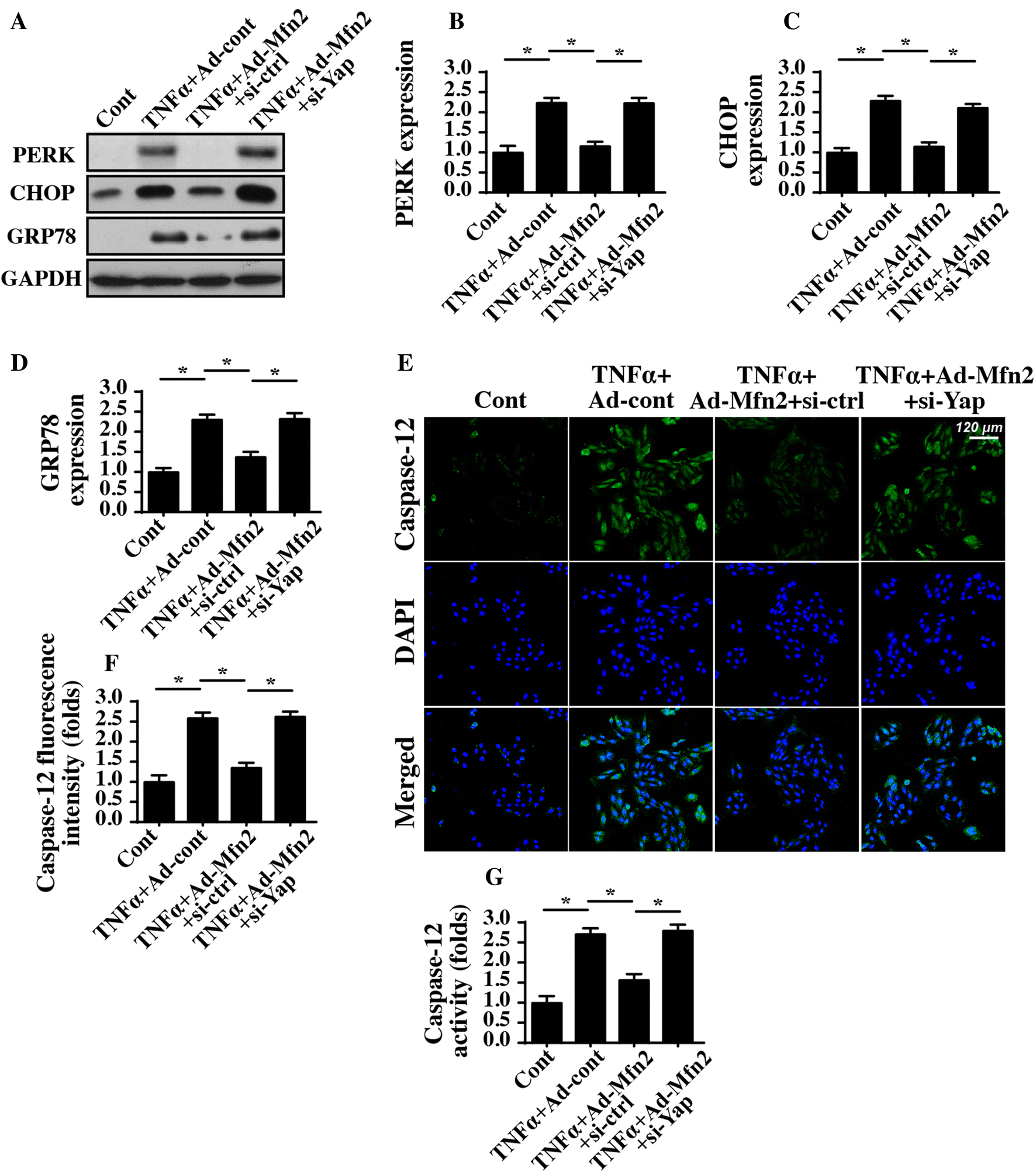 Fig. 4