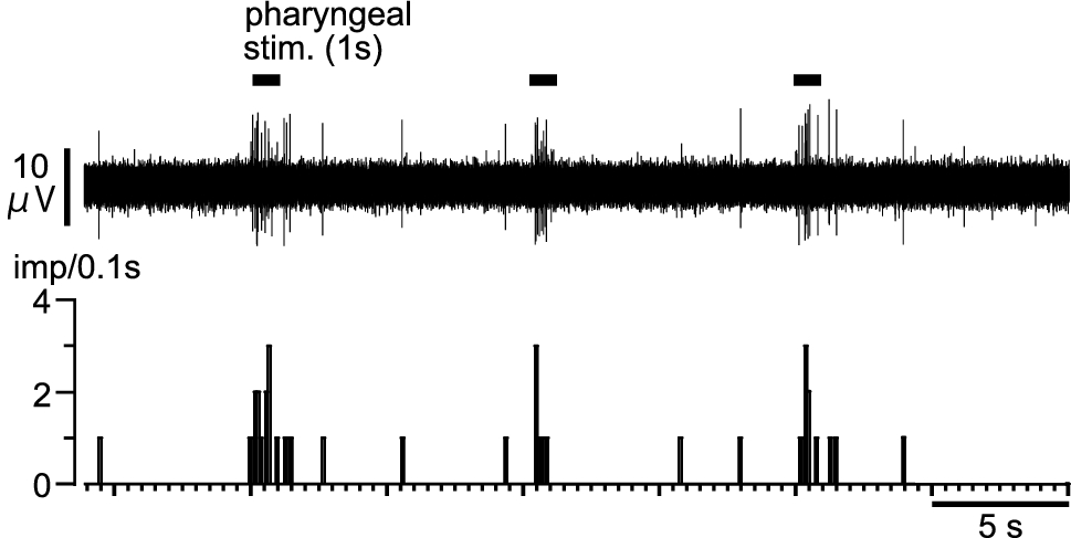 Fig. 7