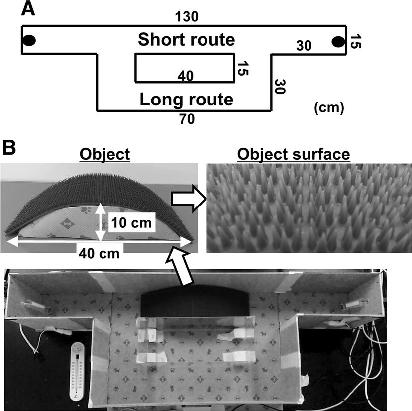 Fig. 1