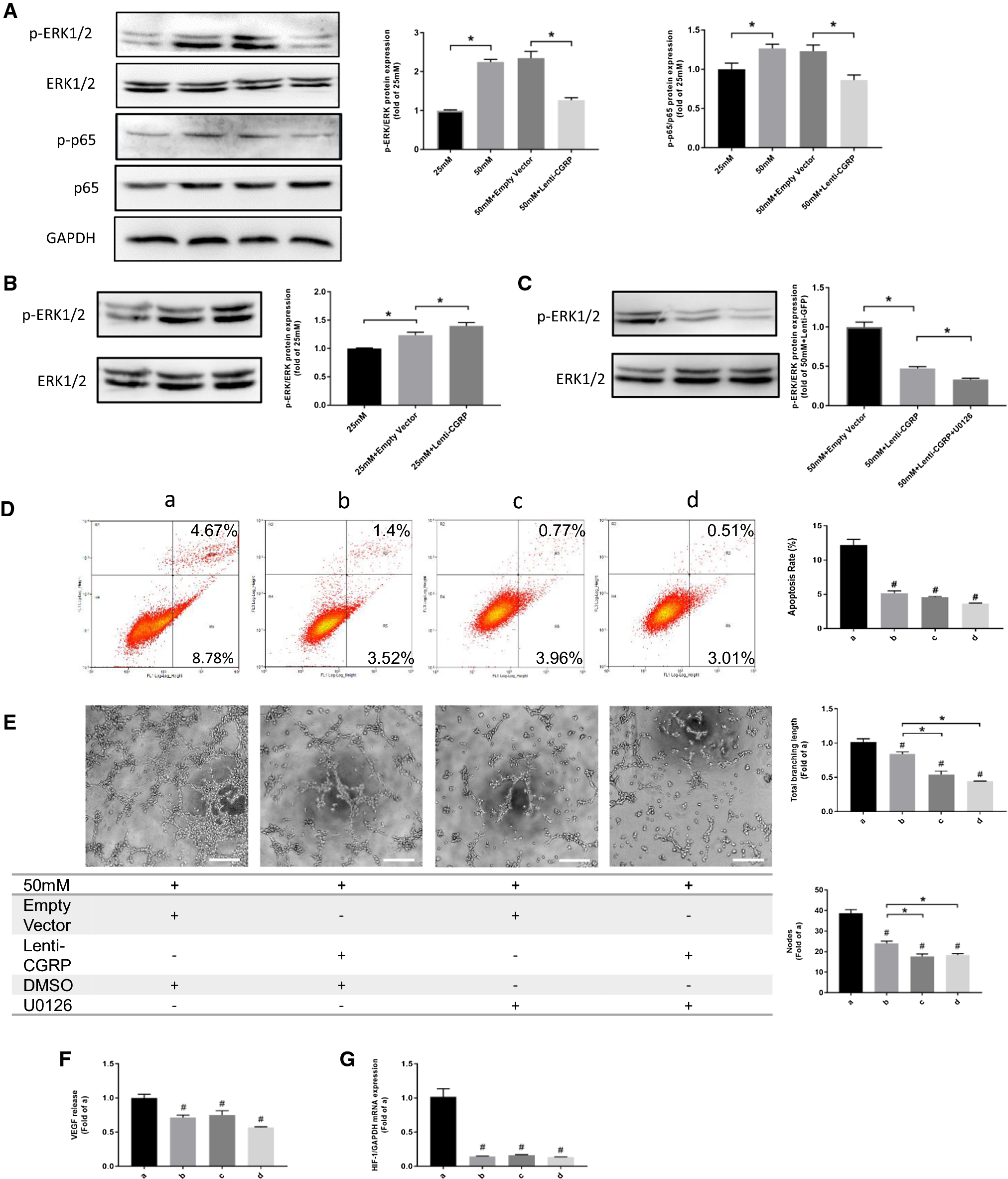 Fig. 6