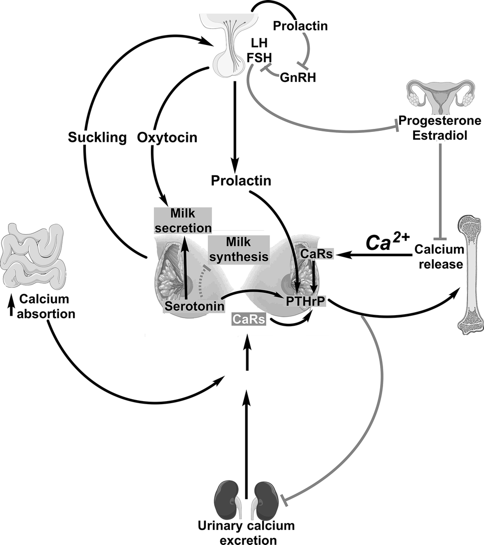 Fig. 2