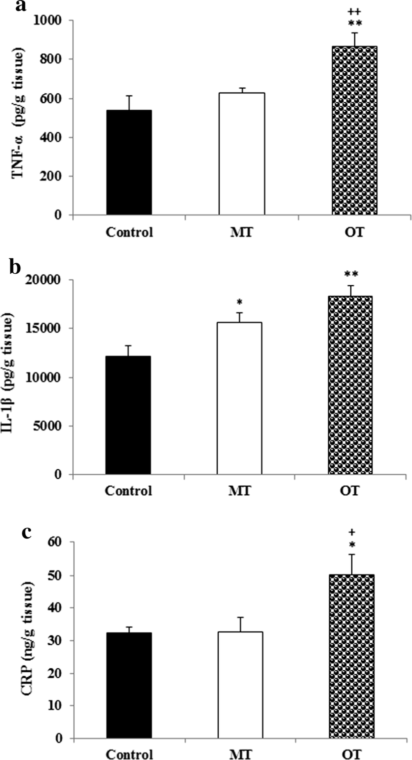 Fig. 4