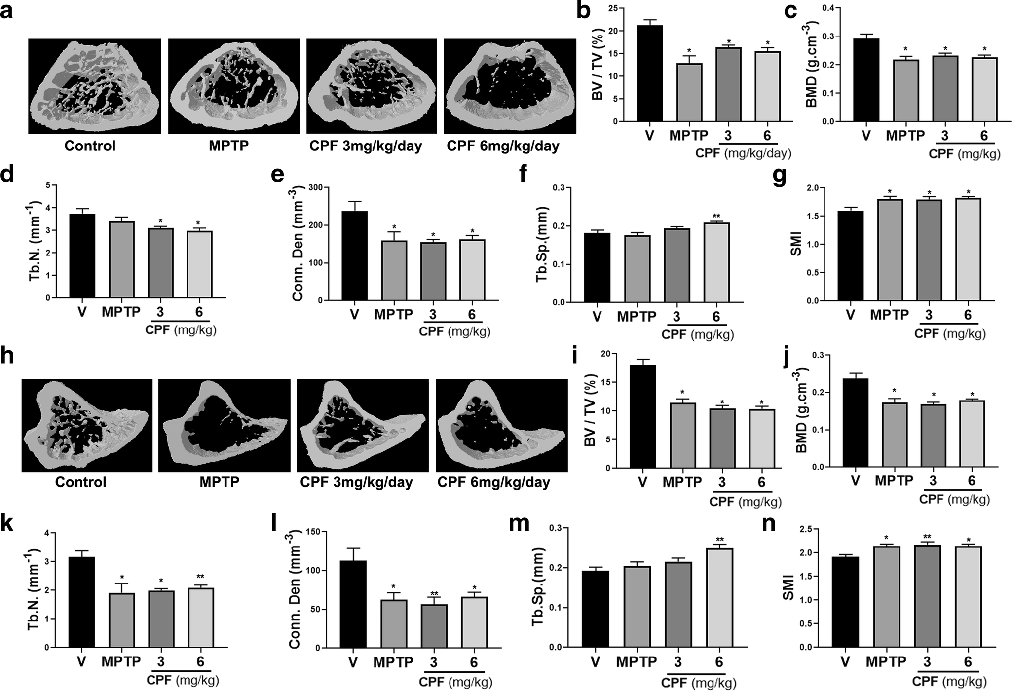 Figure 3 Chlorpyrifos Exposure Induces Parkinsonian Symptoms And Associated Bone Loss In Adult Swiss Albino Mice Springerlink