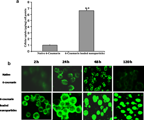 Fig. 5