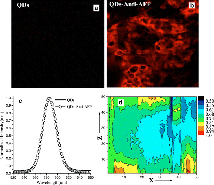 Fig. 12