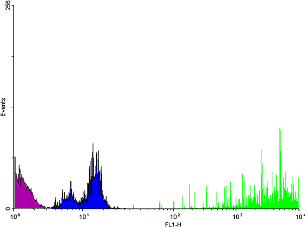 Fig. 10