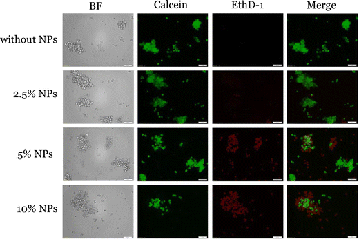 Fig. 8