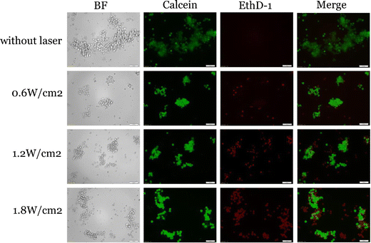 Fig. 9