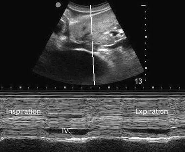 Fig. 5