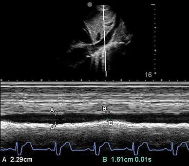 Fig. 7