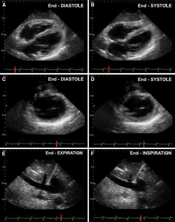 Fig. 6