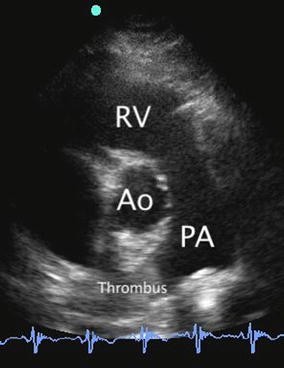 Fig. 8