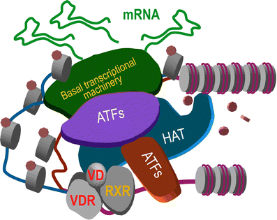 Fig. 3