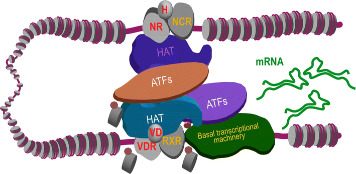 Fig. 4