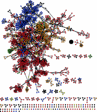 Fig. 1