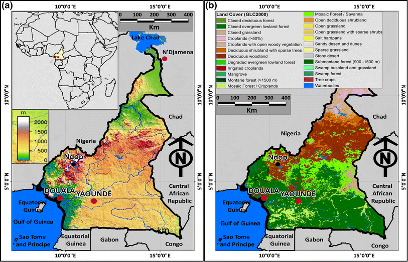 Figure 1 | Variation in stable isotope ratios of monthly rainfall in the Douala and Yaounde cities, Cameroon: local meteoric lines and relationship to regional precipitation cycle | SpringerLink